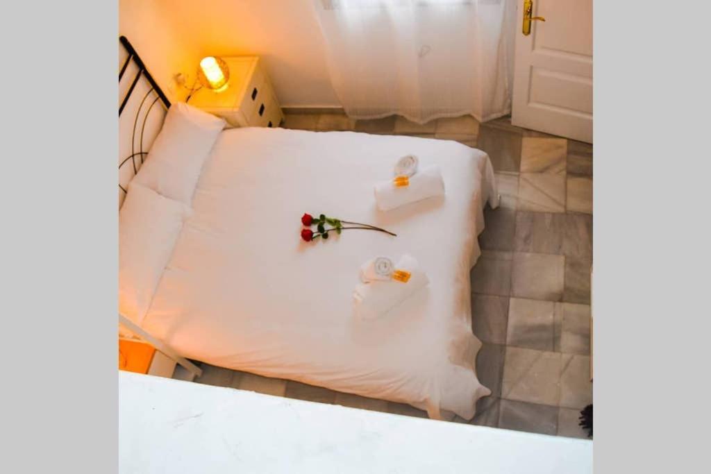 Atico Centrico Plaza Moravia ,san Julian. Apartment Sevilla